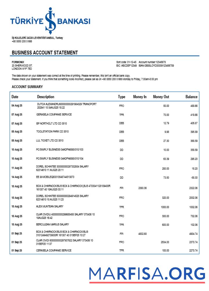 Realistic Turkish Bankasi enterprise statement Word and PDF template